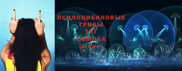 a pvp Алексеевка