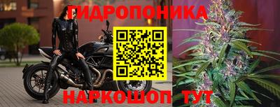 spice Партизанск