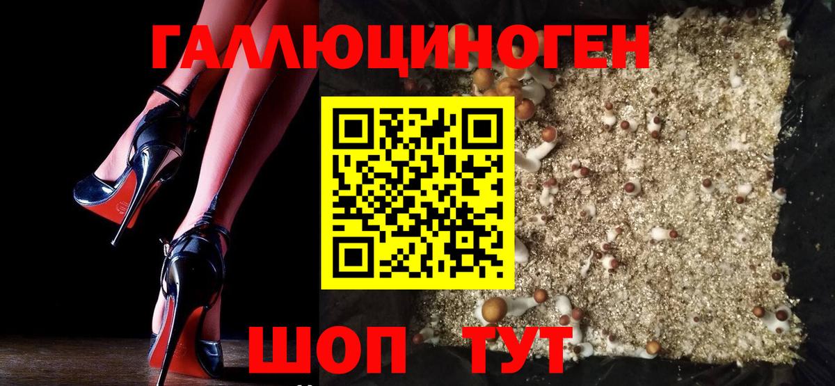 Псилоцибиновые грибы мицелий  Вход с VPN  Галлюциногенные грибы GOLDEN TEACHER  Ревда 